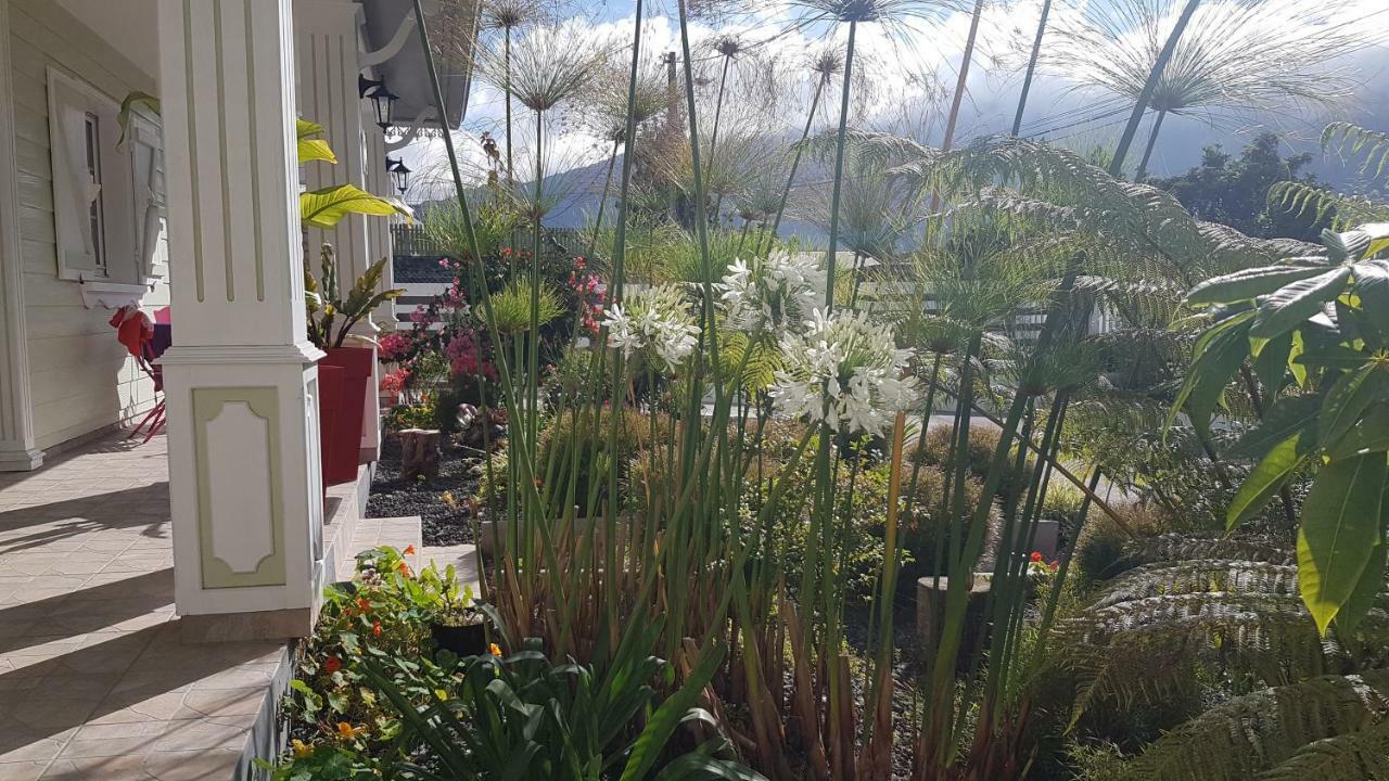 Ferienwohnung La Belle Creole Cilaos Exterior foto